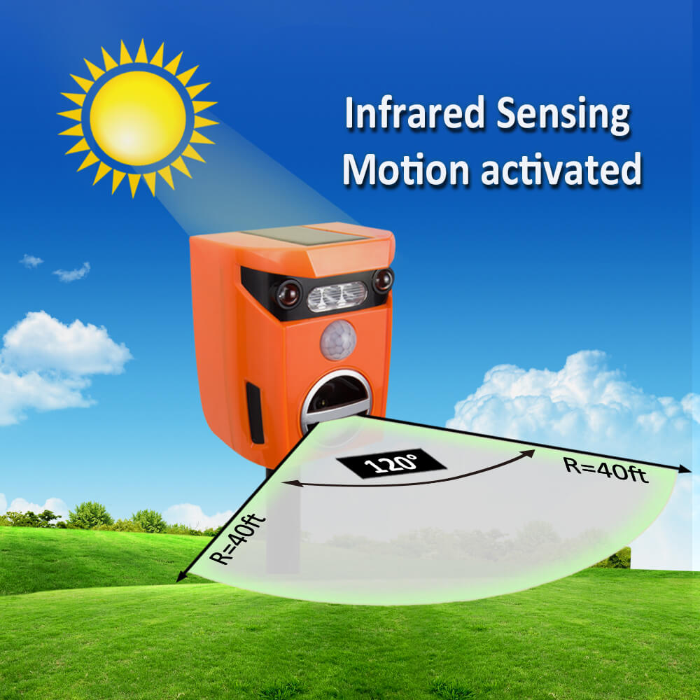 Squirrel Deterrent | Scarecrow Ultrasonic Animal Repeller-China Factory