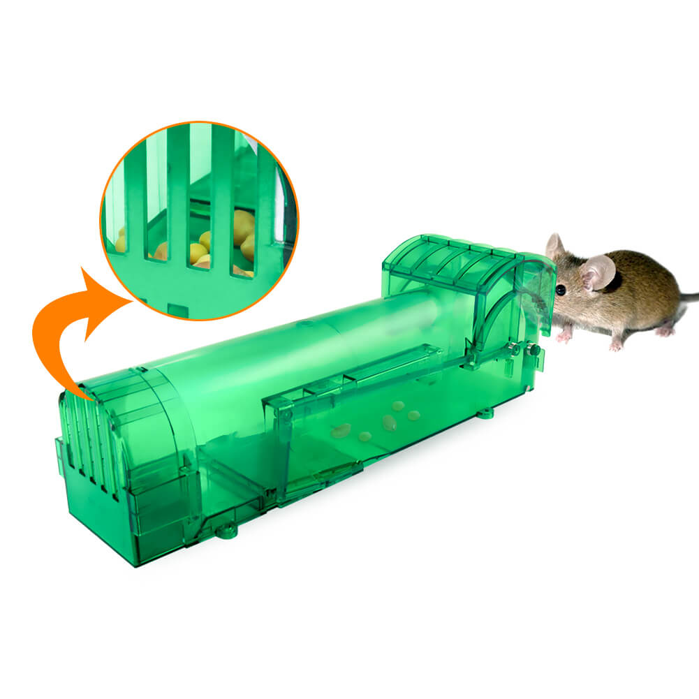 Best mouse trap