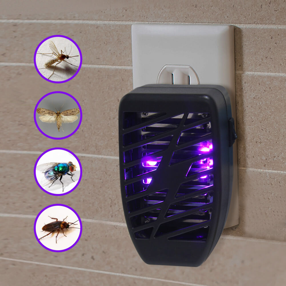 How to get rid of mosquitoes ? xpest