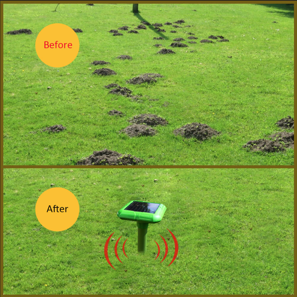 mole deterrent