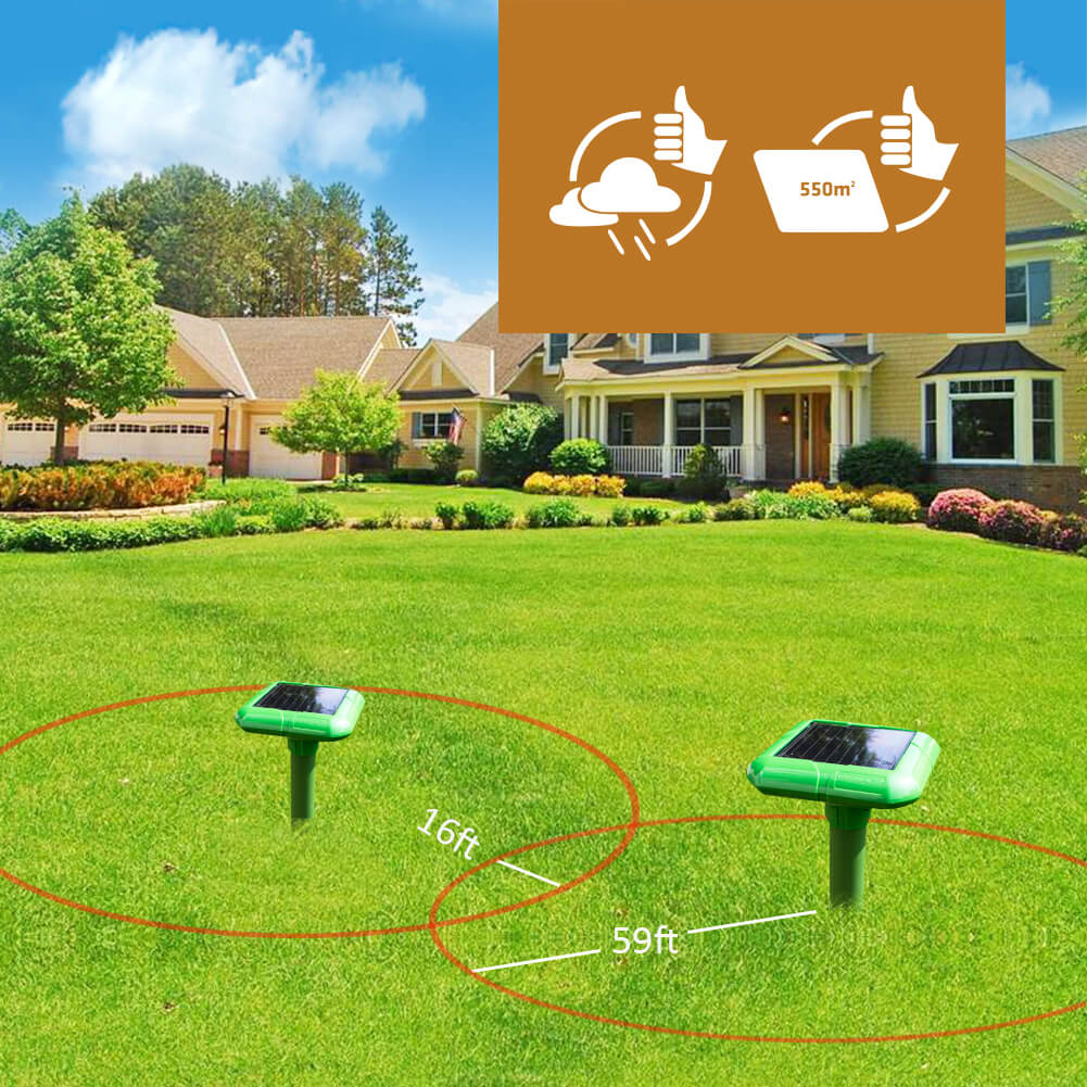 mole deterrent