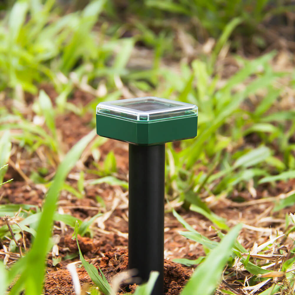 solar powered mole repeller