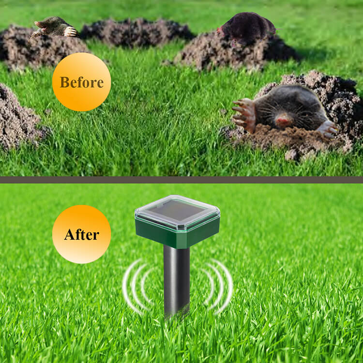 solar powered mole repeller