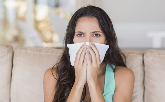 Are Rodents Making You Allergic