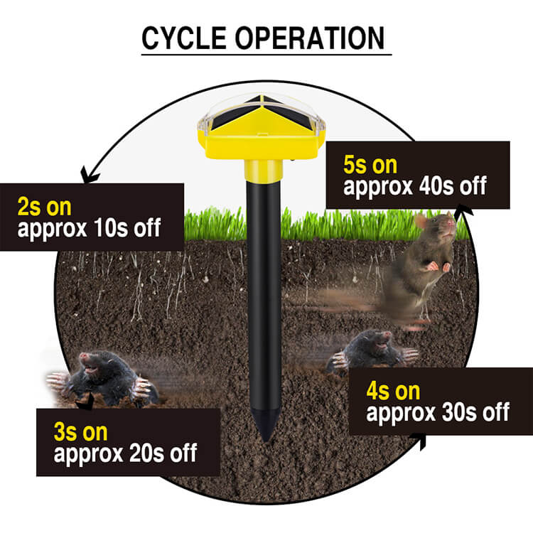How to effectively combat moles