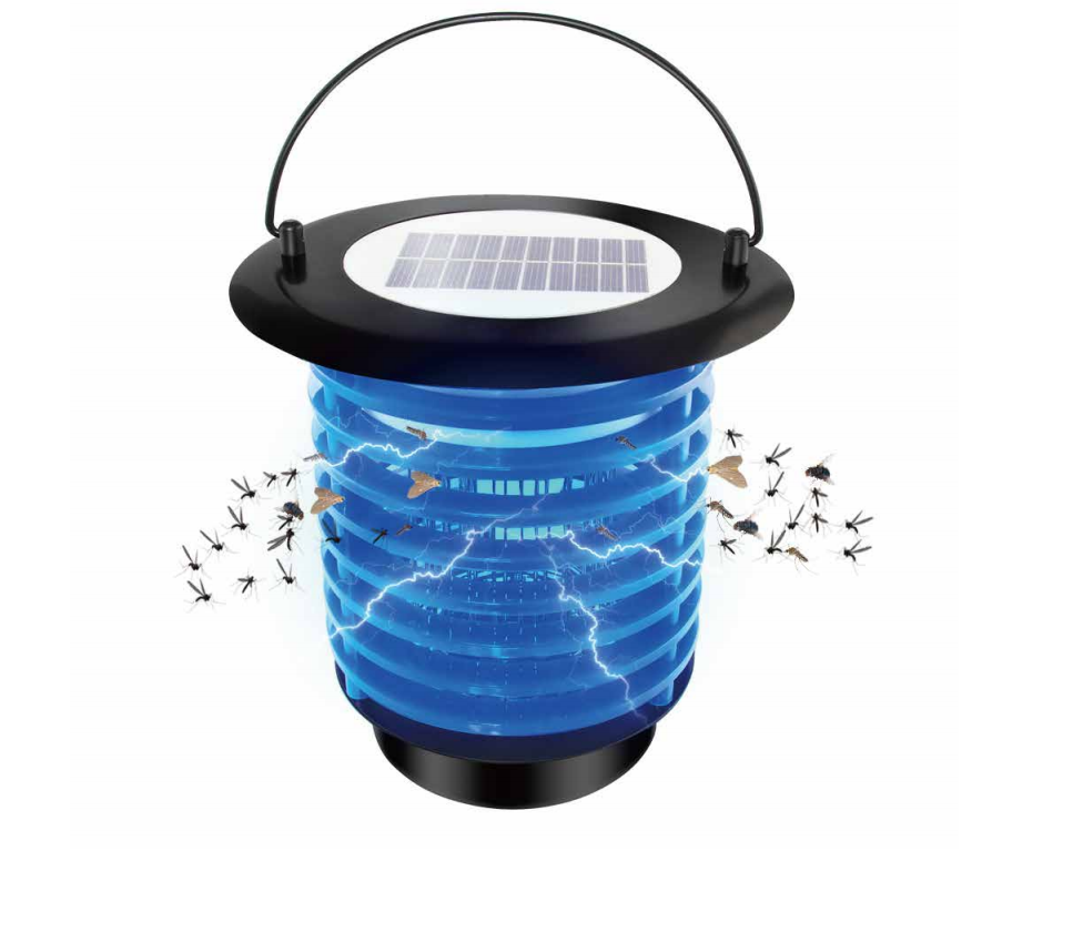 How to get rid of bees? xpest