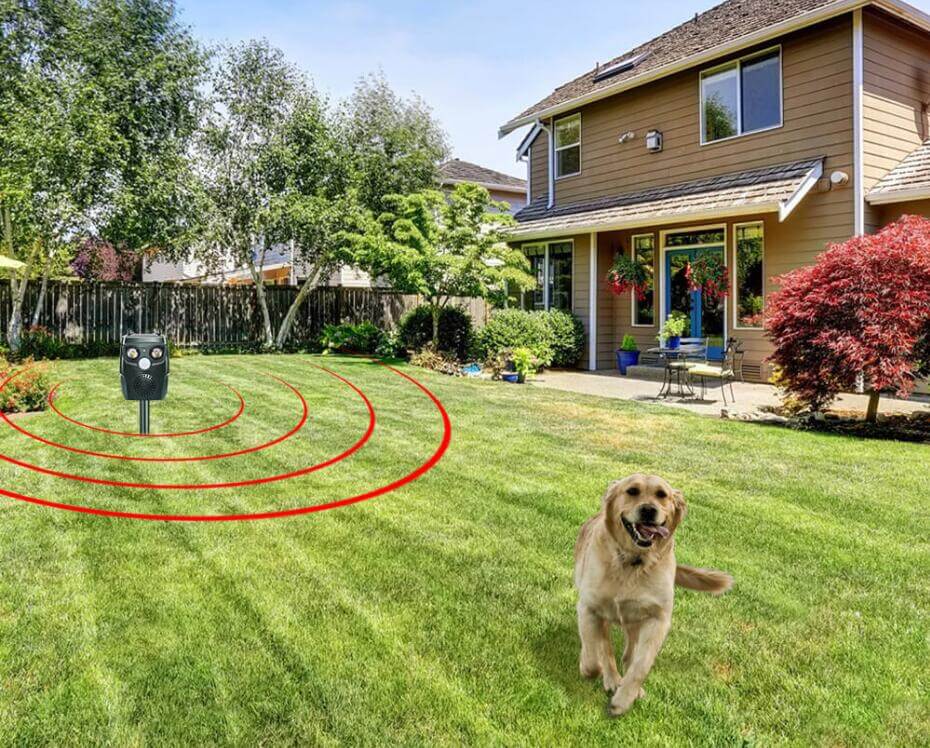 dog repellent