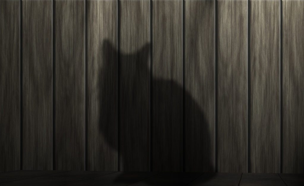 how to repel cats