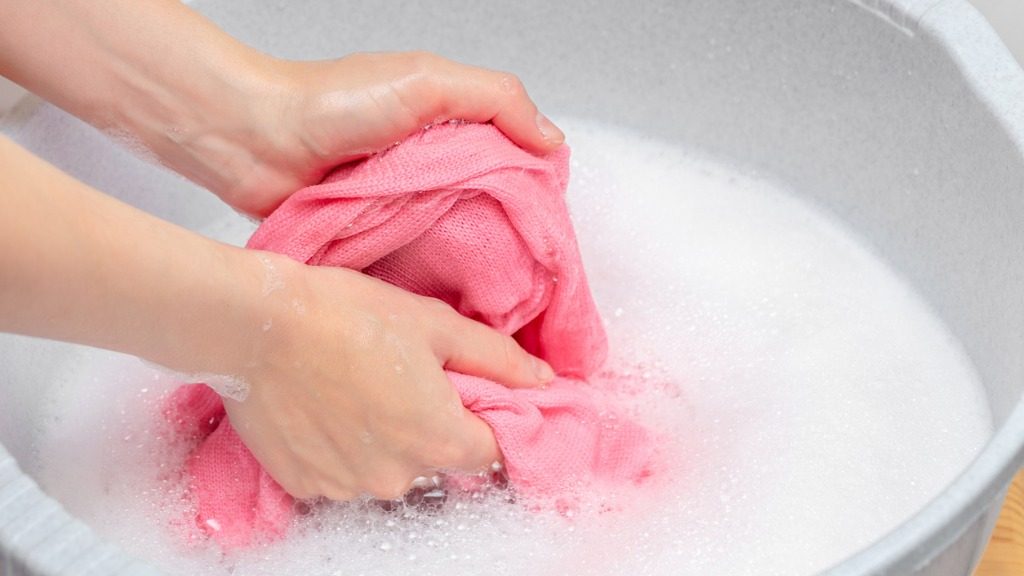how to get rid of mites