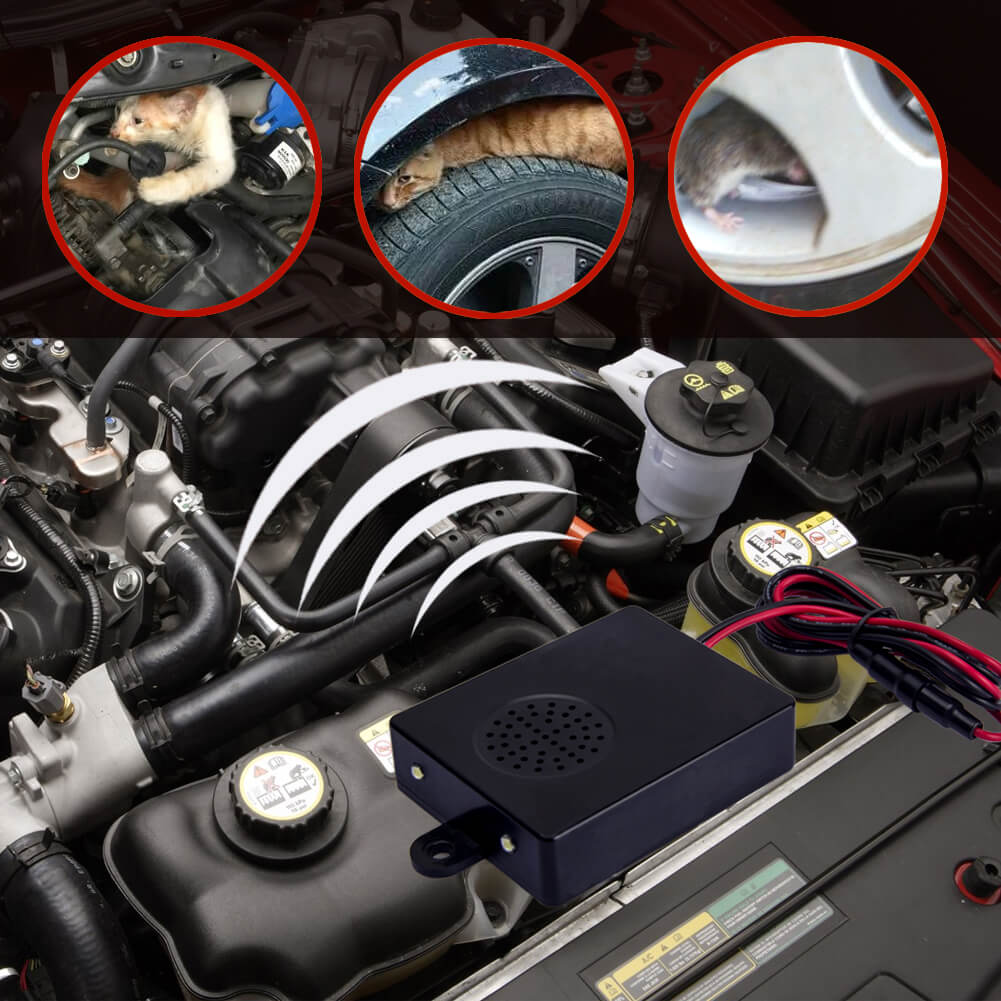 how to keep rodents out of car engine compartment