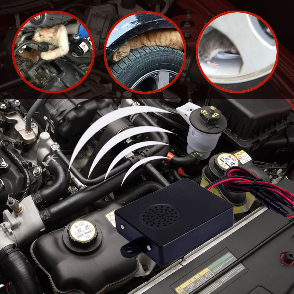 How to Keep Mice Out of Vehicles - x-pest