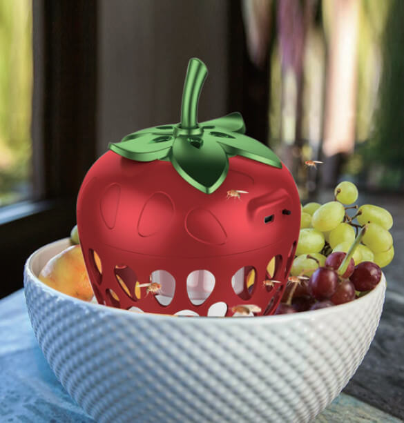fruit fly trap