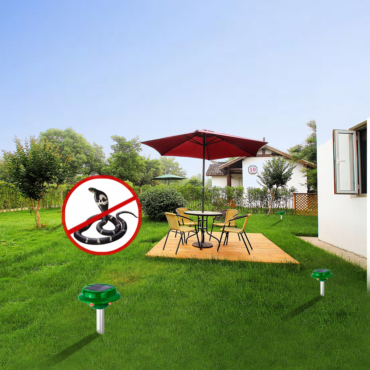 How To Get Rid Of Lizards X Pest