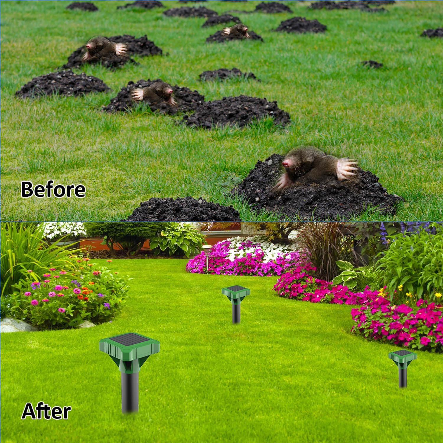 Mole Repellent (AR08S) - x-pest