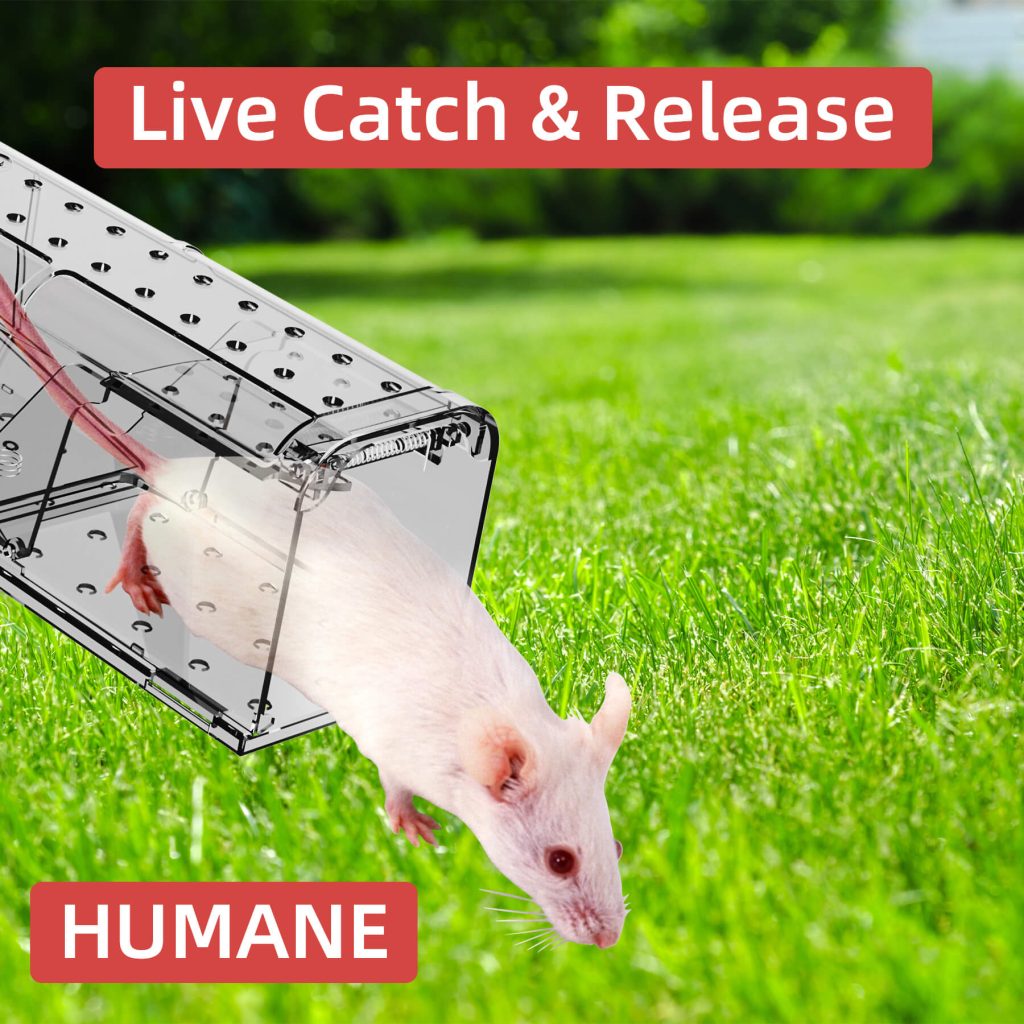 Humane Mouse Trap-4