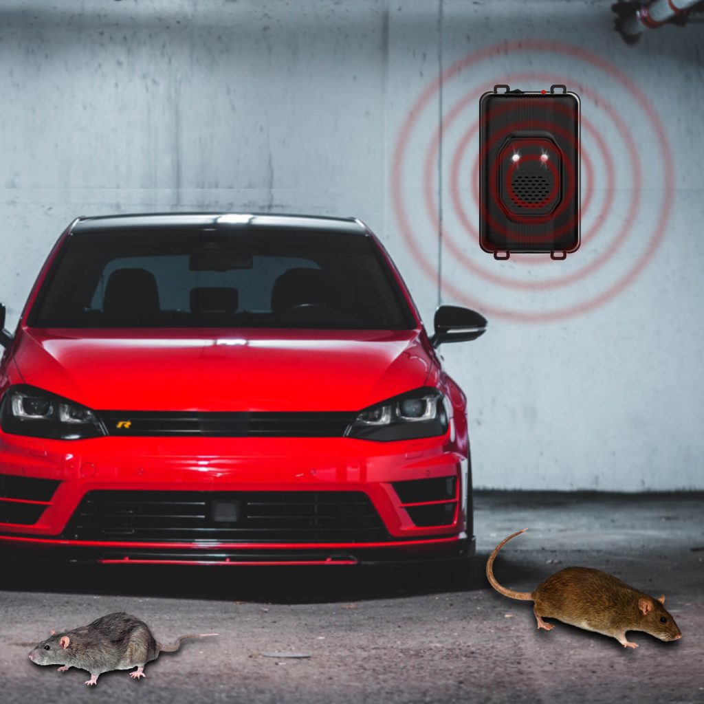 Rodent repellent for cars-21