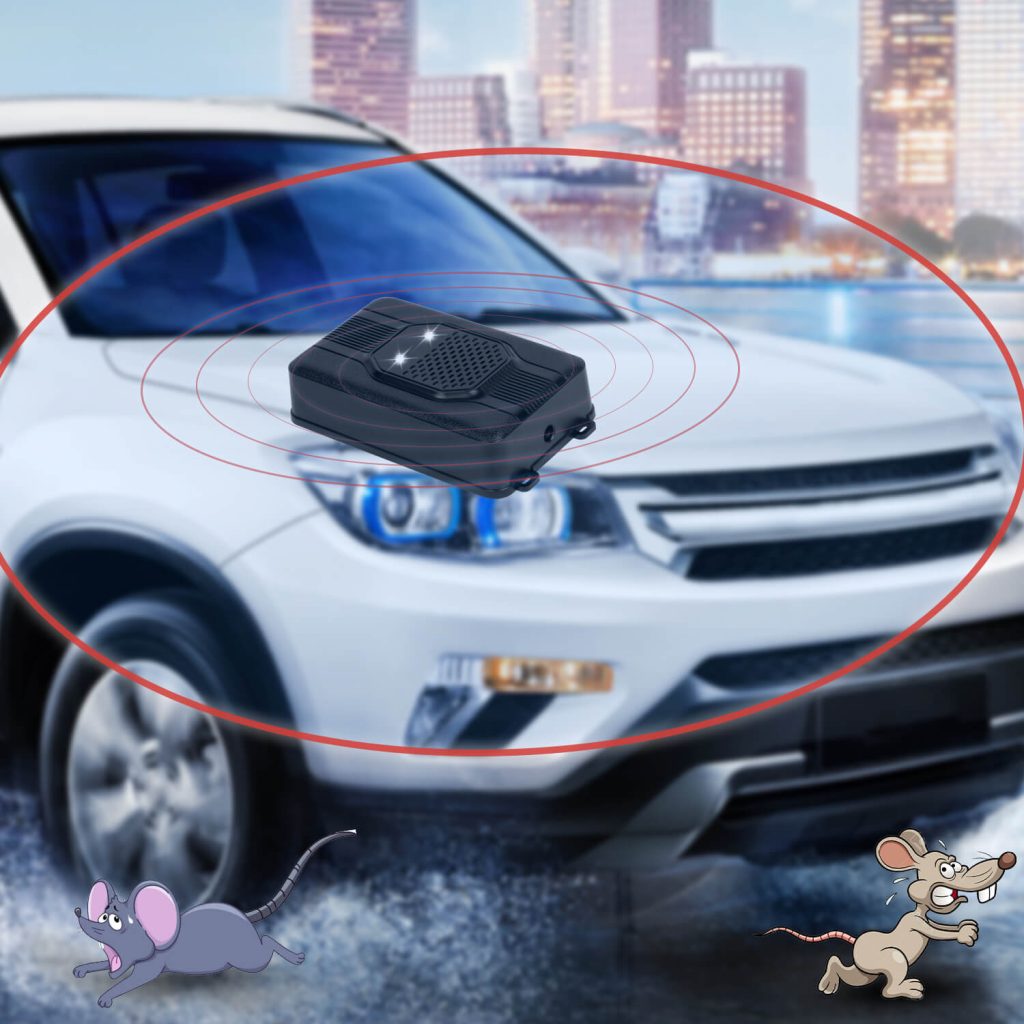 Rodent repellent for cars-26