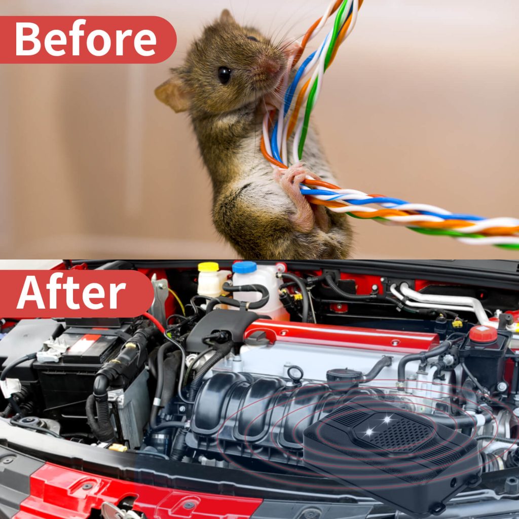 Rodent repellent for cars-6