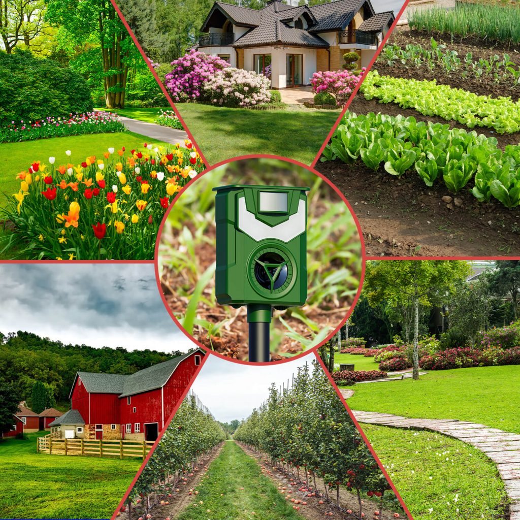 FlameGuard Ultrasonic Animal Repellent-4