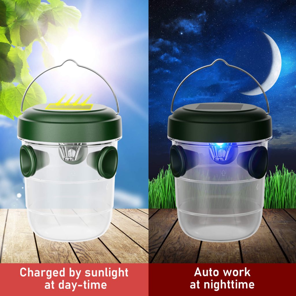 Solar-powered Wasp Trap-7