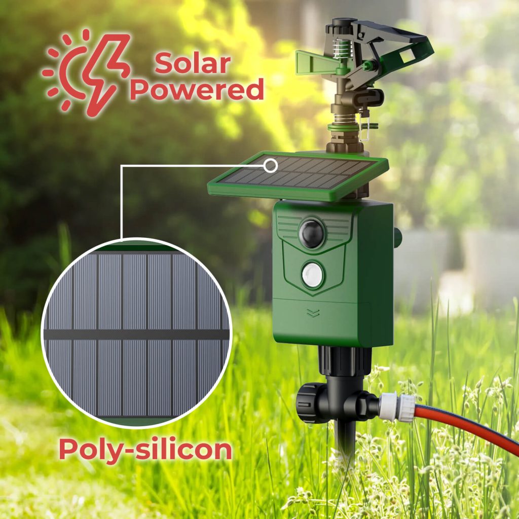 Motion Activated Sprinklers-3