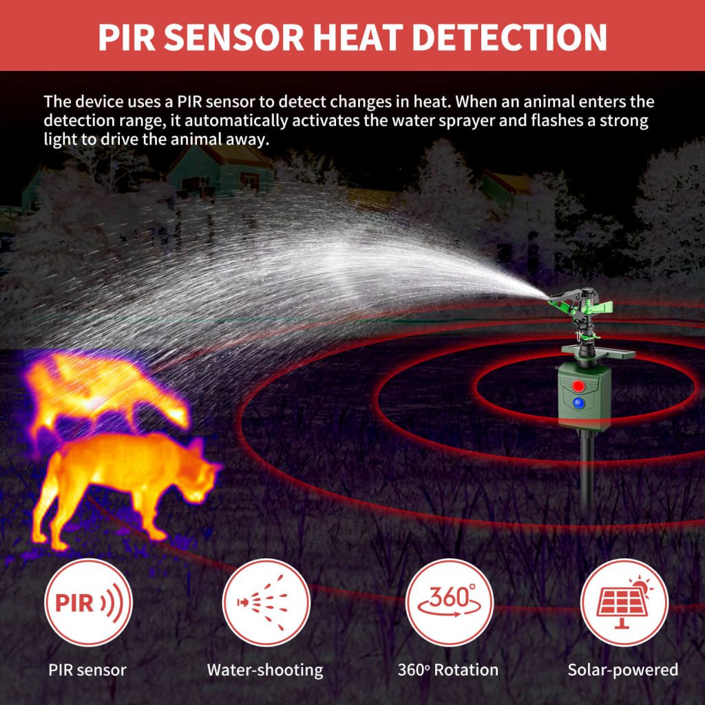 Motion Activated Sprinklers-4