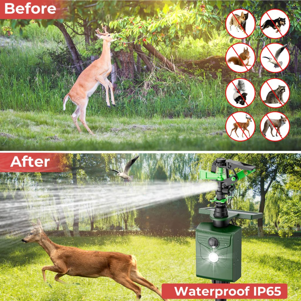 Motion Activated Sprinklers-6