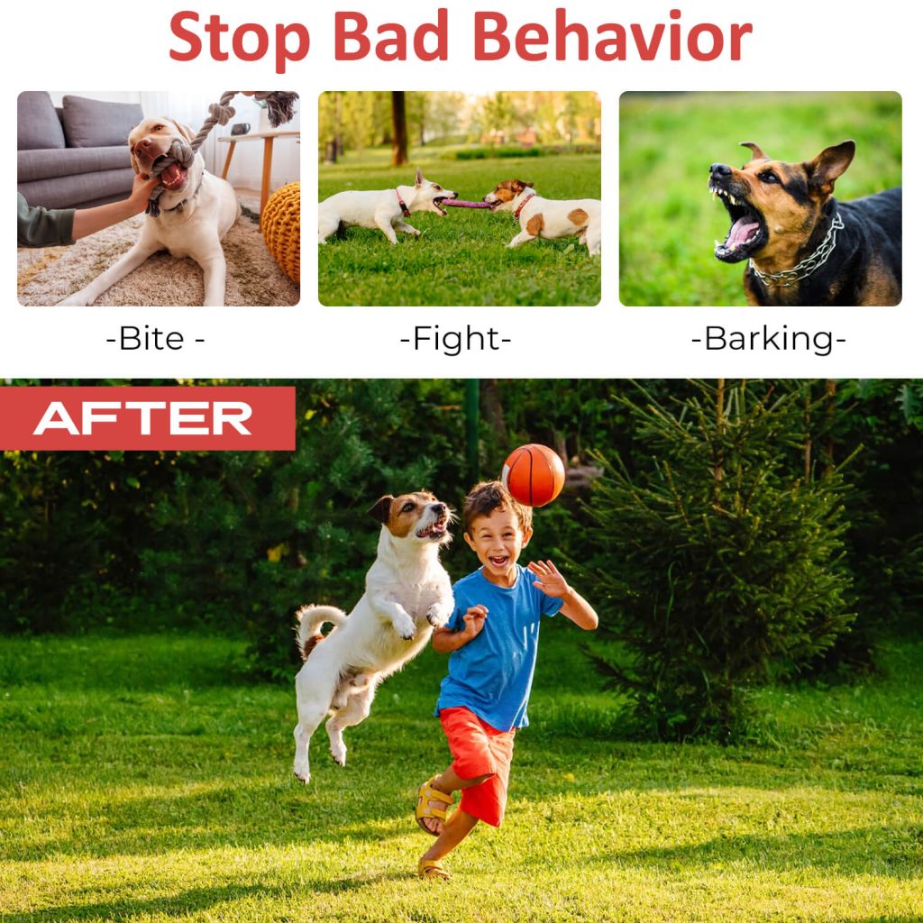 Ultrasonic Bark Control-6