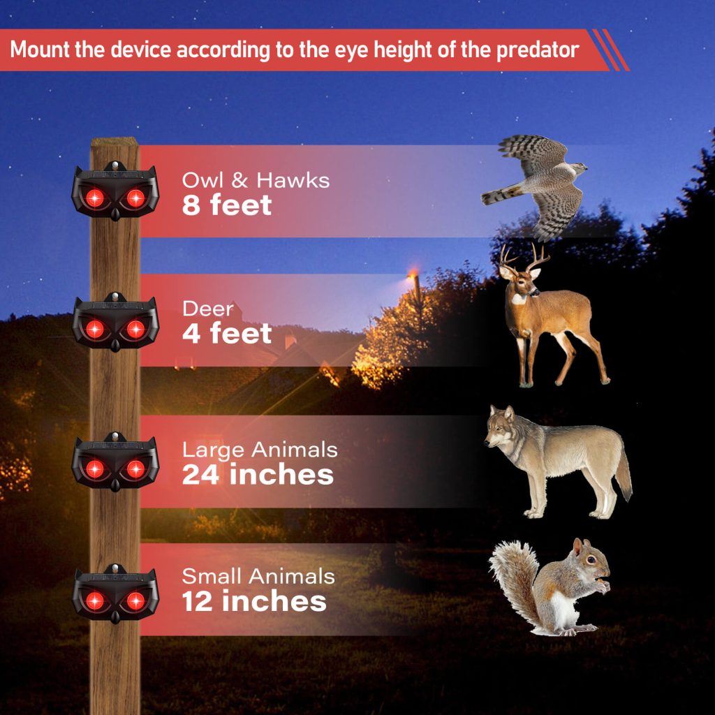 Wild Boar Repellent-4