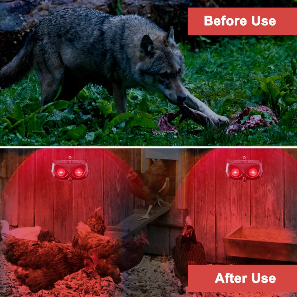 Wild Boar Repellent-6