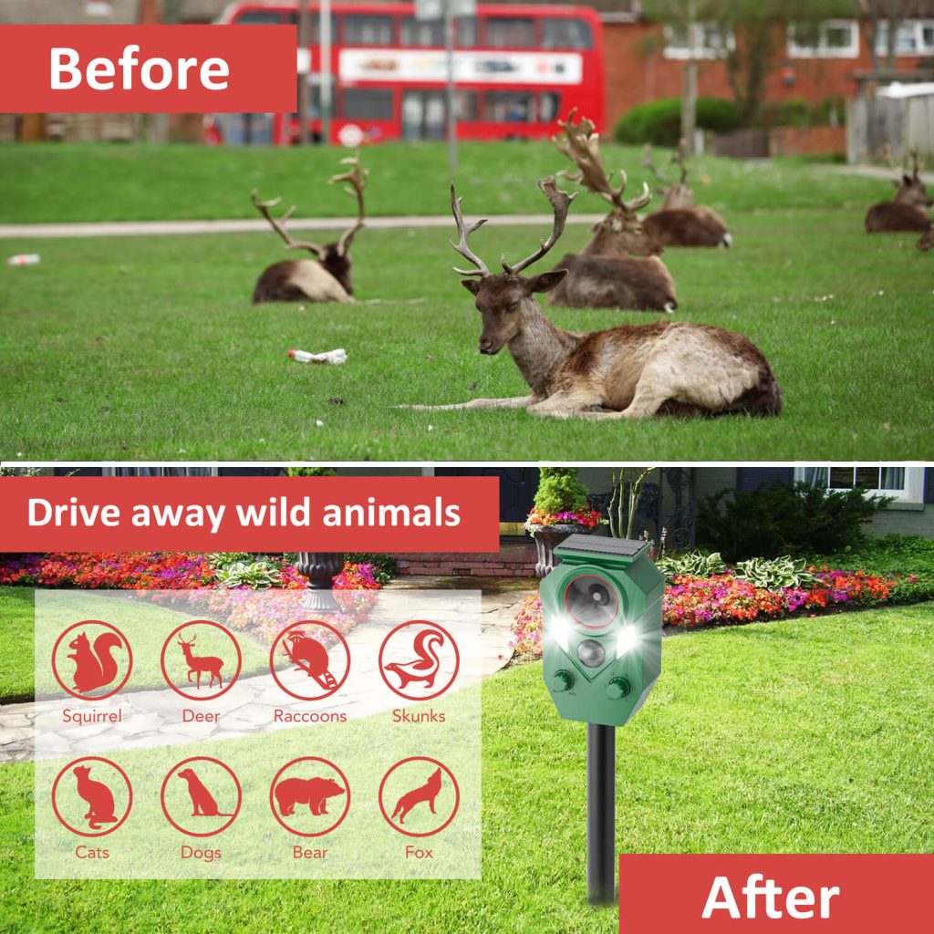 Animal Repellent For Garden-6