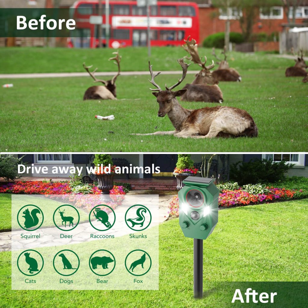 animal repellent for garden-16